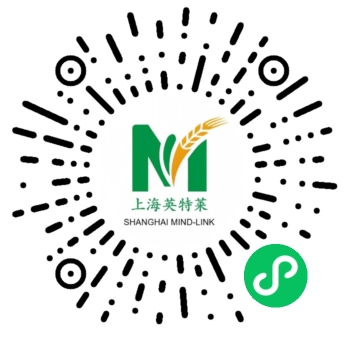 微信小程序